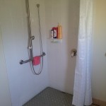 Shower set